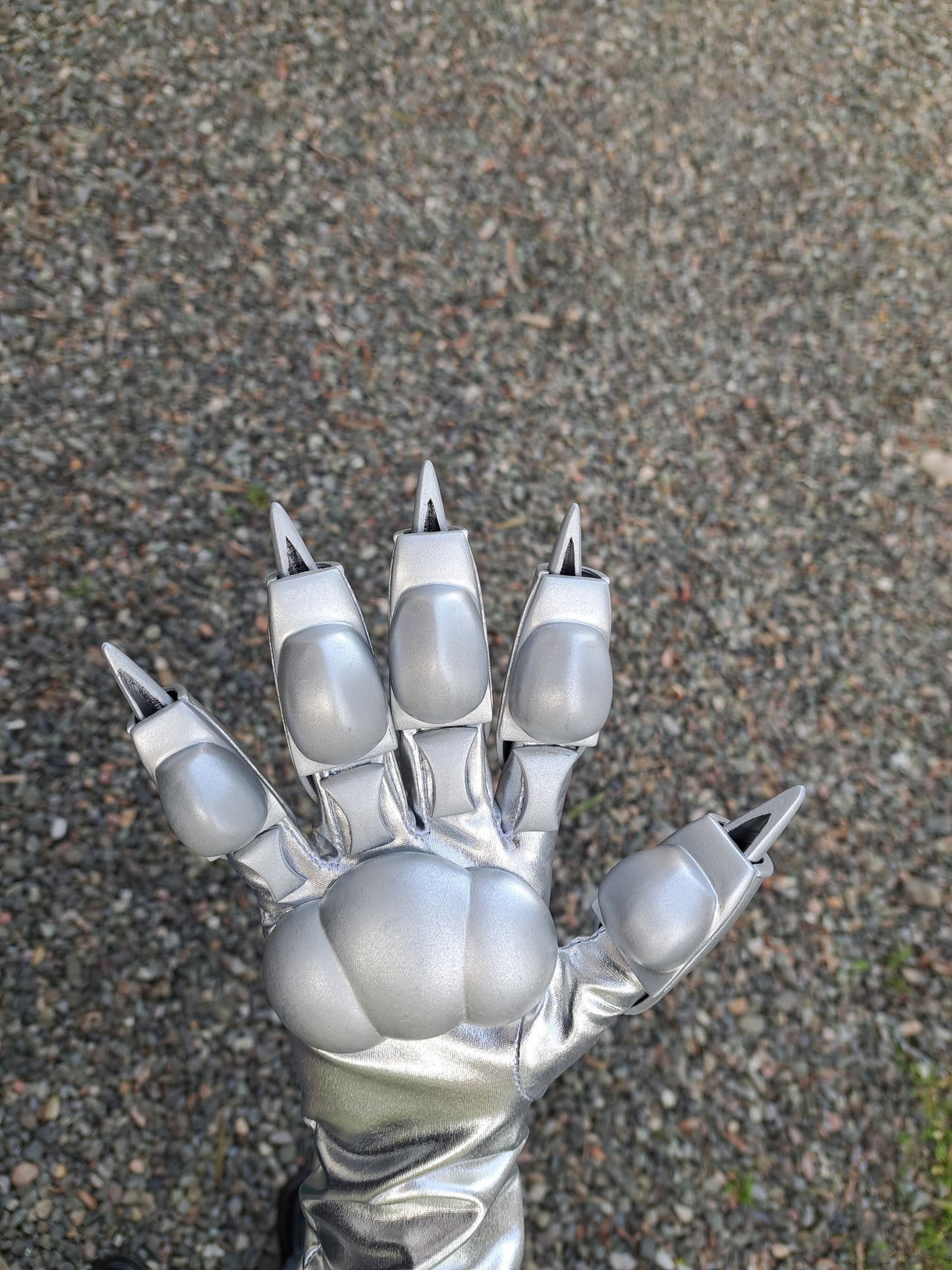 Cat paw with retractable claws