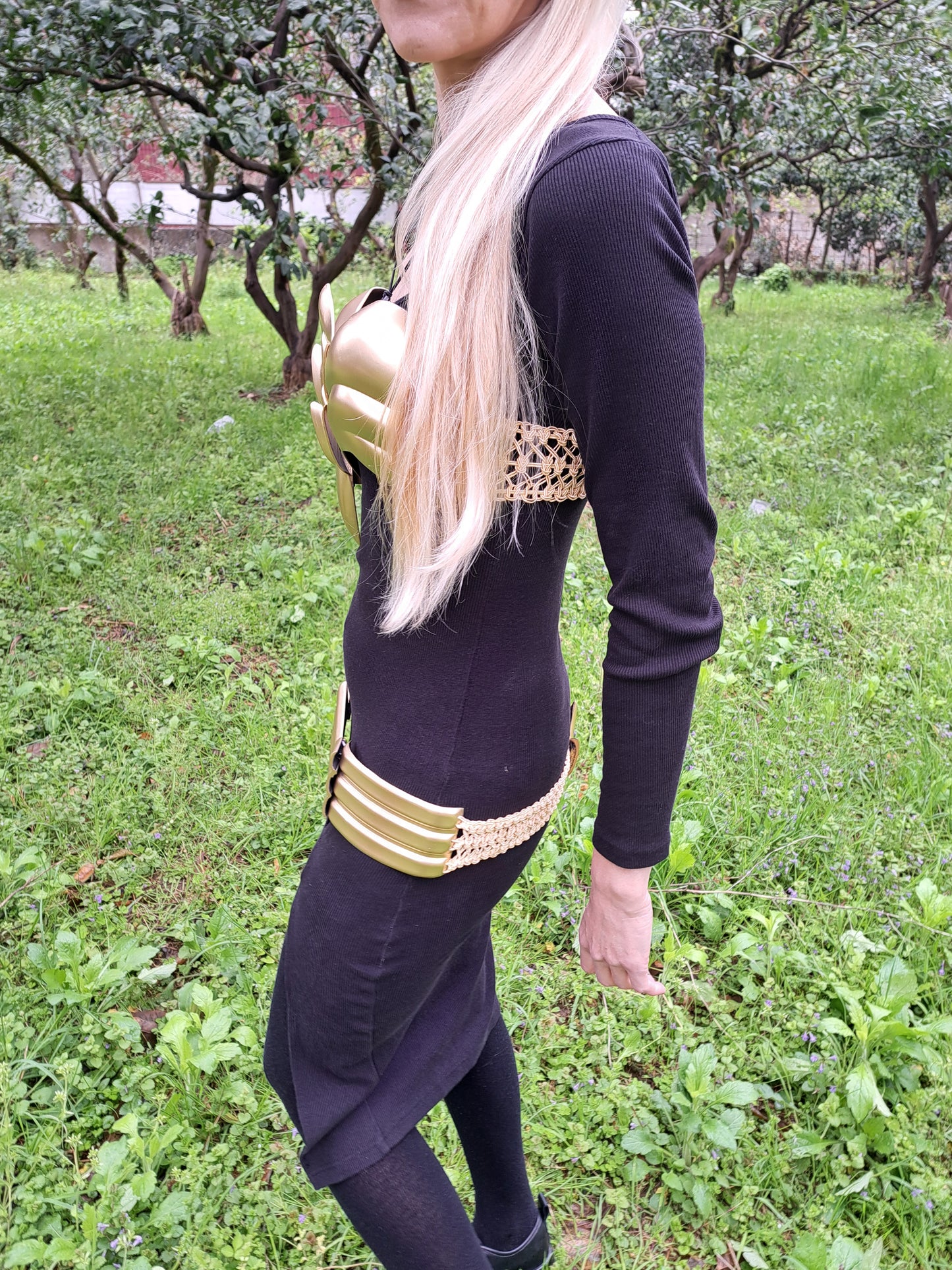 Amazon warrior armor