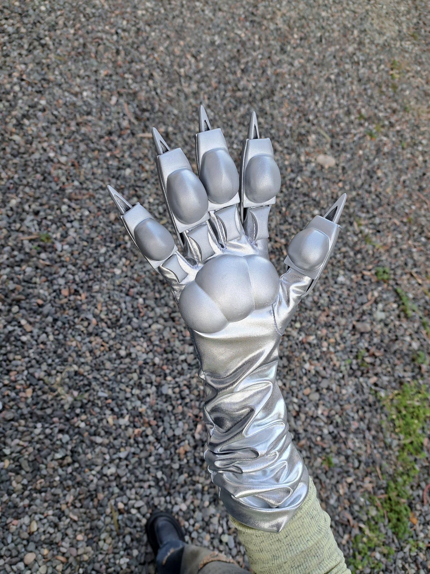 Cat paw with retractable claws